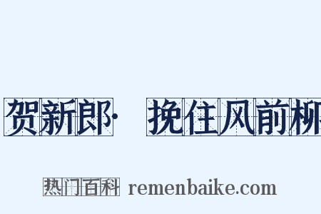 贺新郎·挽住风前柳是什么意思的图片